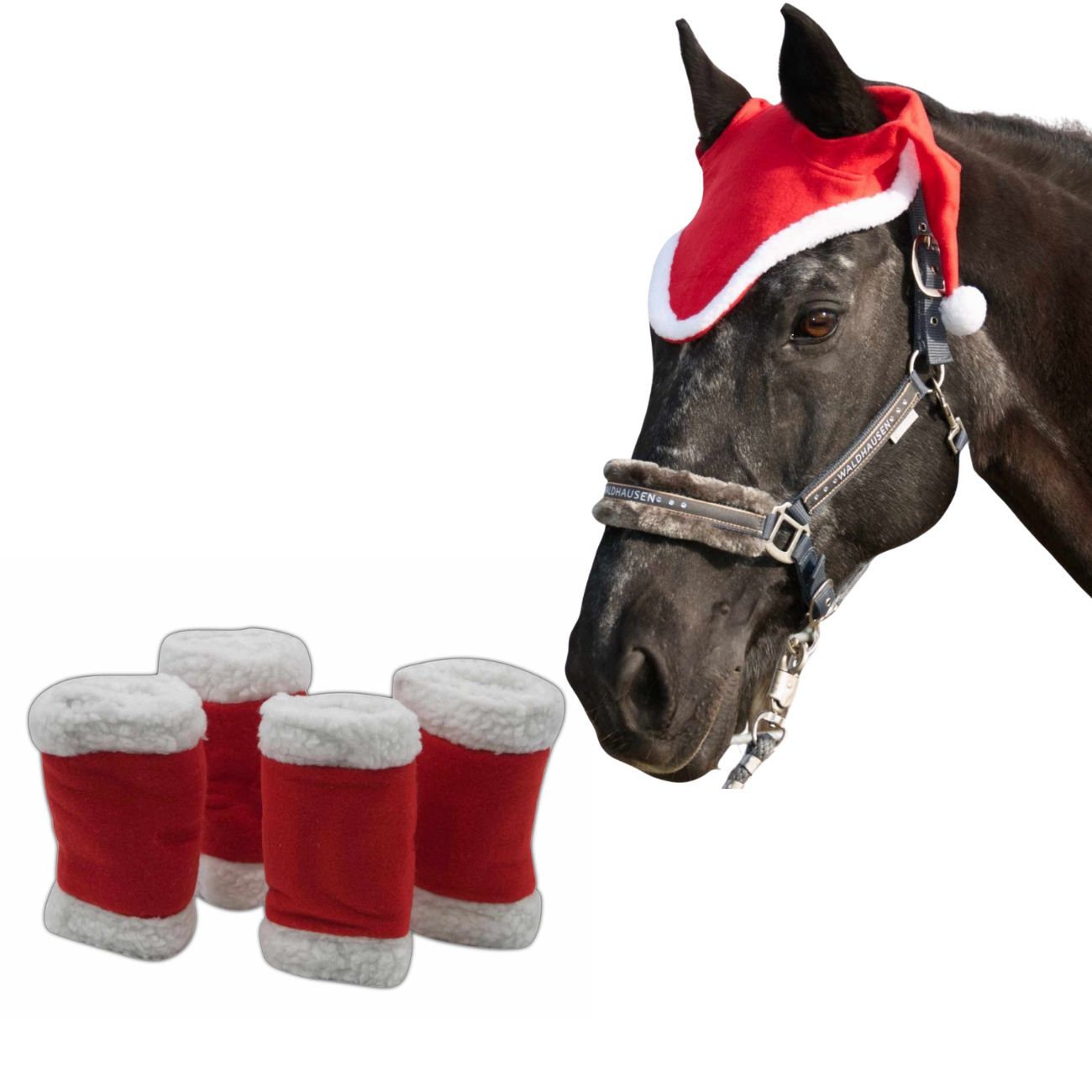 Pferdekopf mit roter Weihnachtsmütze. Vier rote Bandagen mit weißem Fellrand.