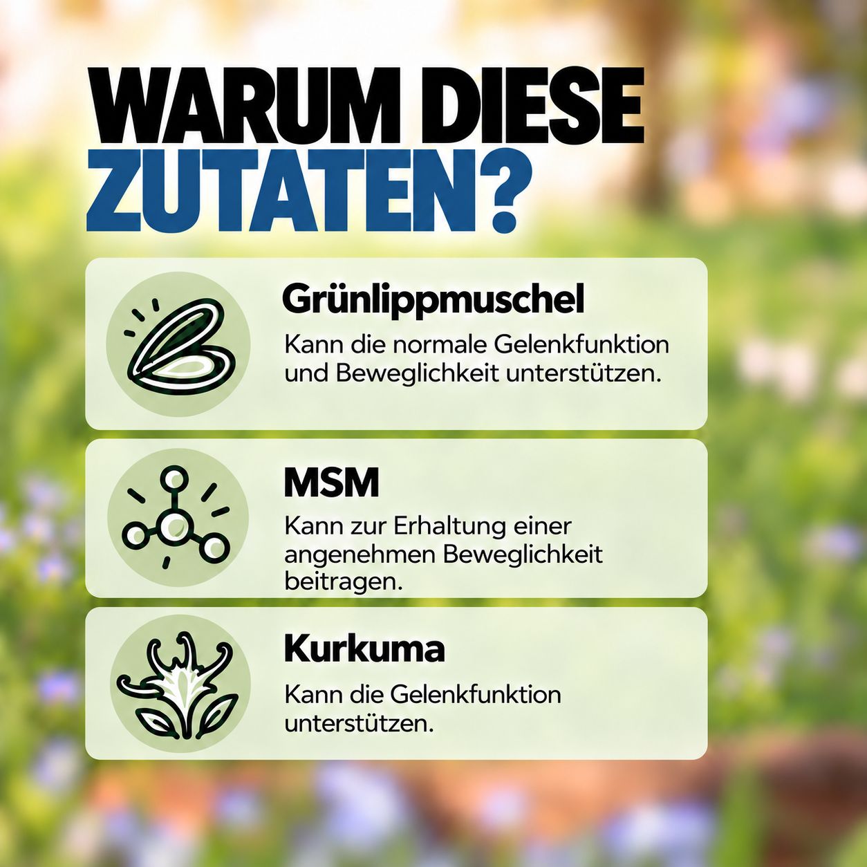 Dose mit Hundesnacks, Marke 'MOVE DOG', "Bewegungs Snack".
