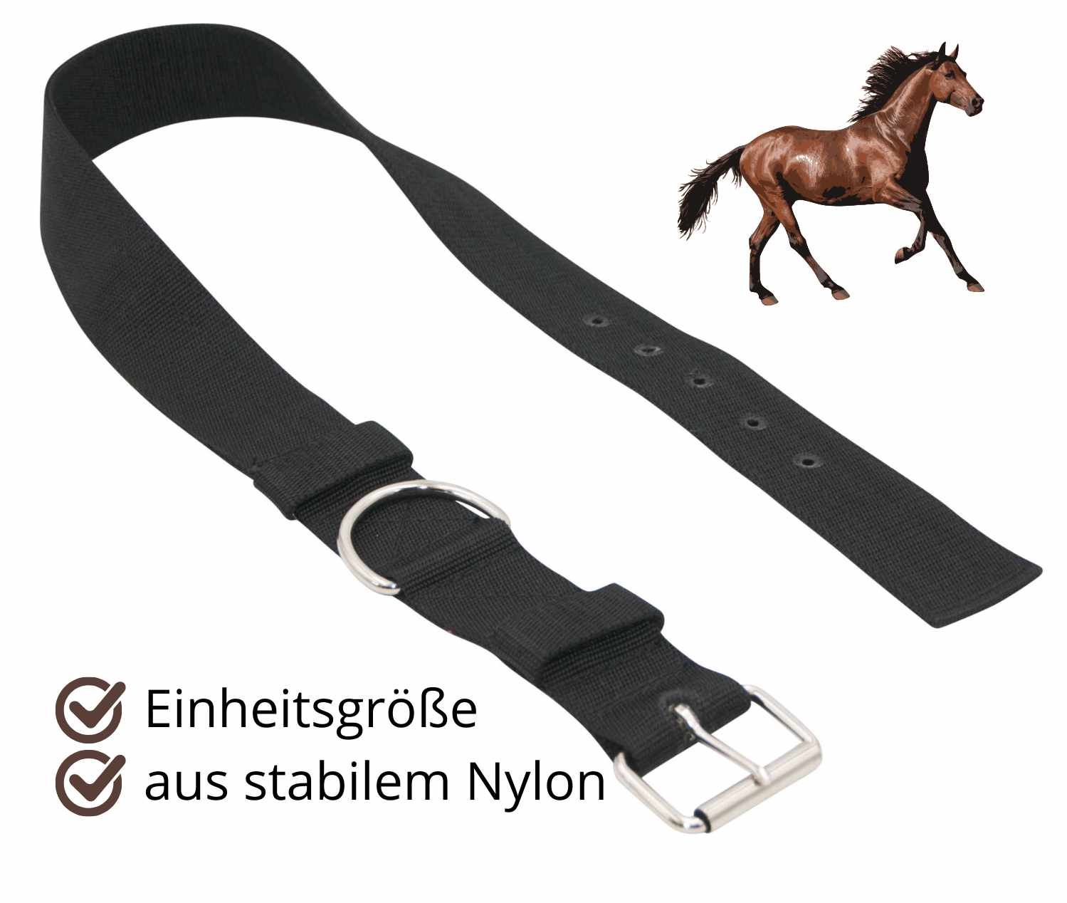 Schwarzer Halsriemen aus Nylon mit Schnalle und D-Ring. Text: Einheitsgröße aus stabilem Nylon.