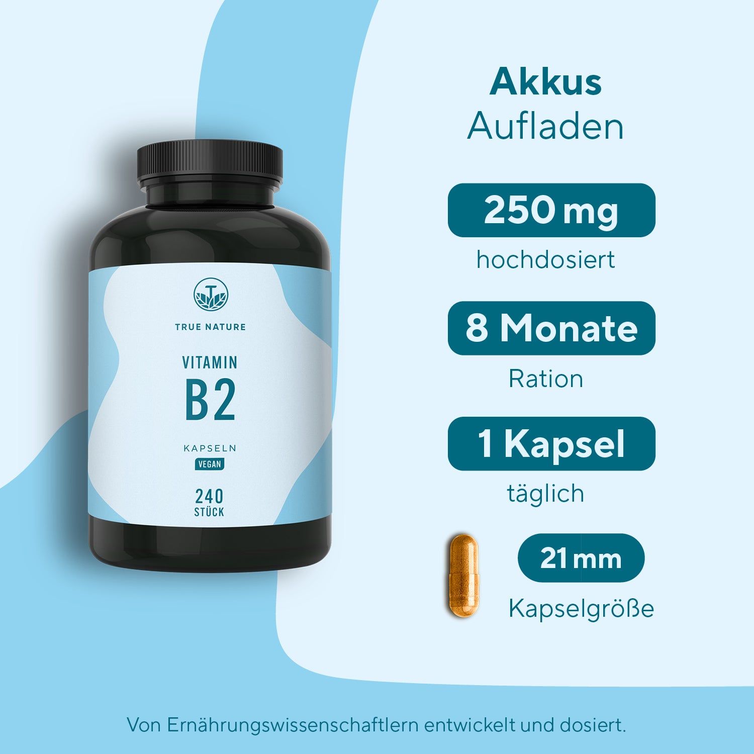 Flasche mit Vitamin B2 Kapseln. Informationen: 250 mg, 8 Monate Ration, 1 Kapsel täglich, 21 mm Kapselgröße. Braune Kapsel.