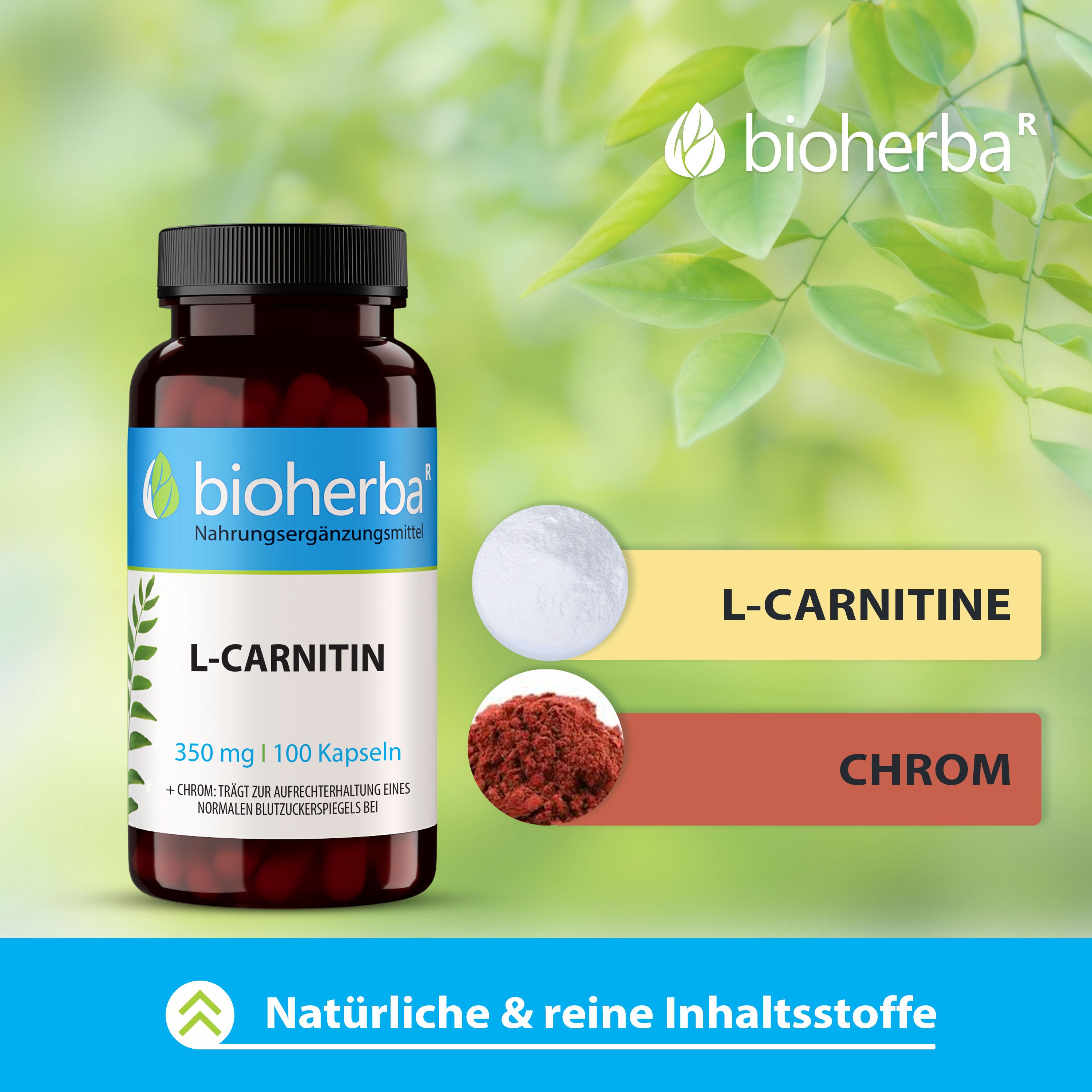 Braune Flasche mit "bioherba" und "L-Carnitin". Enthält 100 Kapseln. Inhaltsstoffe: L-Carnitin und Chrom.