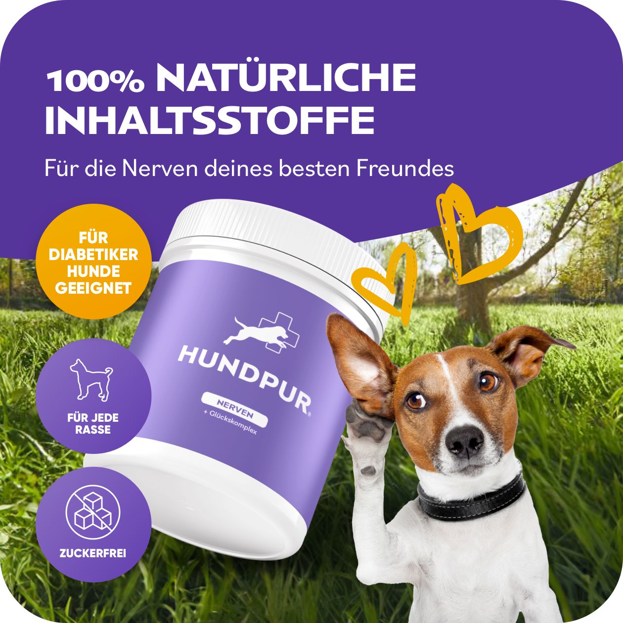 Produktglas mit lila Etikett, Hund. Text: 100% natürliche Inhaltsstoffe. Siegel: Für Diabetiker Hunde geeignet, Für jede Rasse, Zuckerfrei.