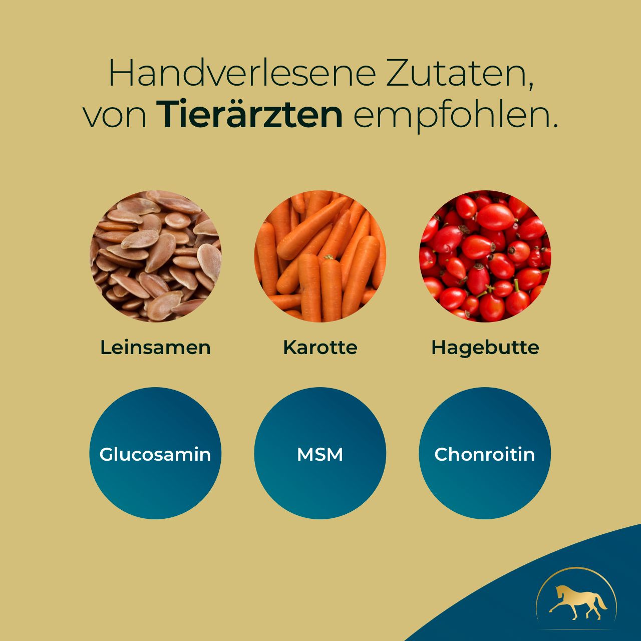 Drei Kreise mit Leinsamen, Karotten und Hagebutten. Darunter Glucosamin, MSM und Chondroitin.