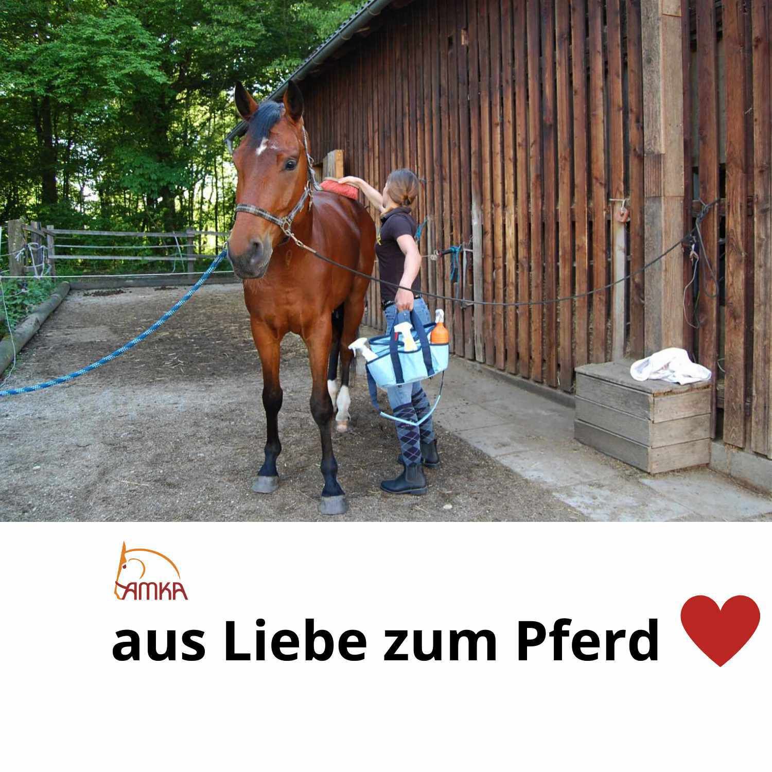 Eine Person bürstet ein braunes Pferd mit einer blauen Bürste. Im Hintergrund ist ein Stall zu sehen. Das AMKA Logo und der Schriftzug 'aus Liebe zum Pferd' sind zu sehen.