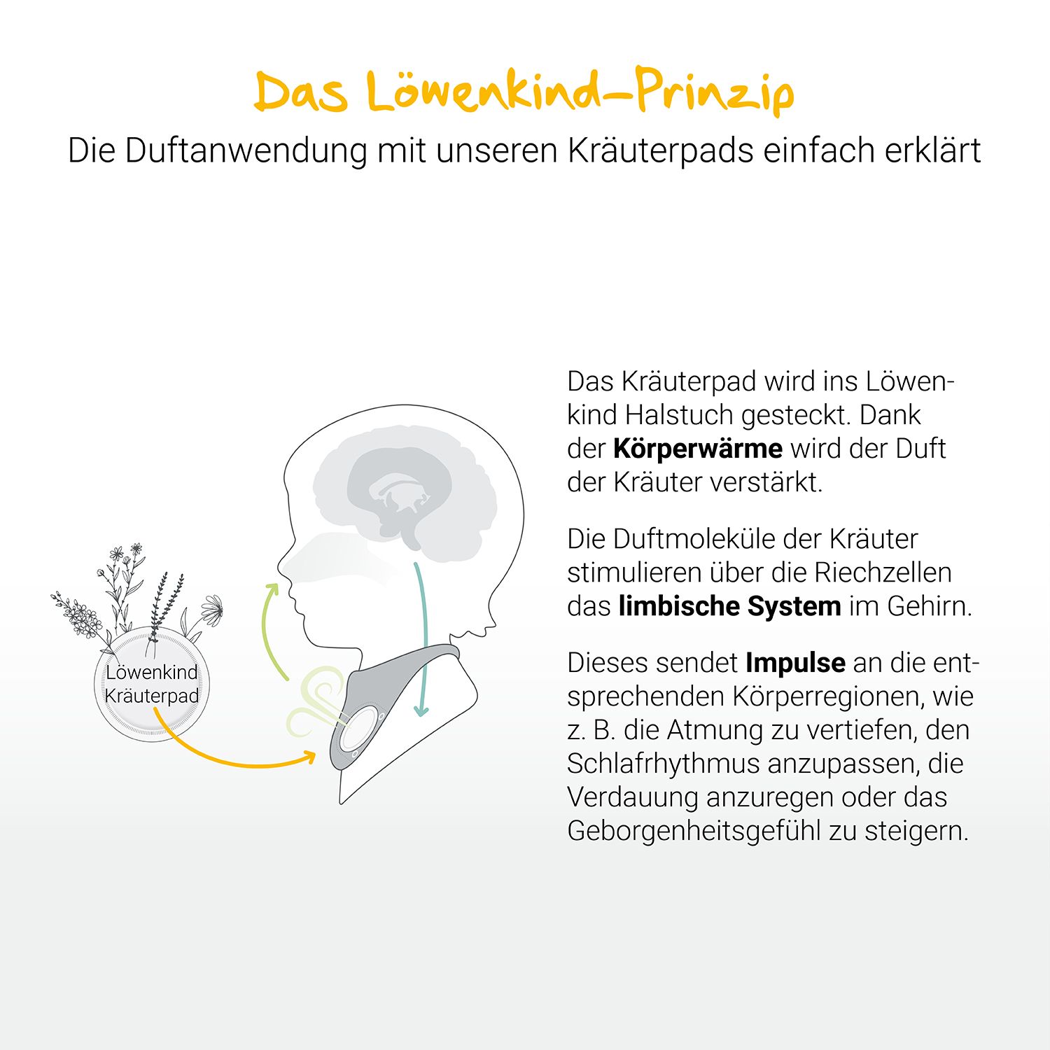 Grafik: Funktionsweise der Kräuterpads. Illustration eines Kindes mit Halsband. Text: Das Löwenkind-Prinzip. Kräuterpad.