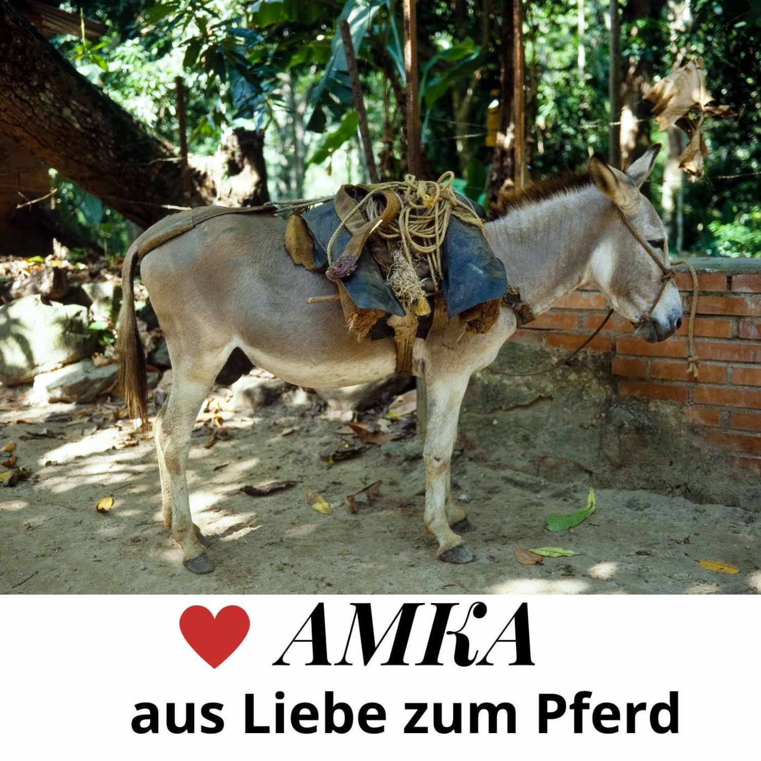 Esel mit Packsattel. Sattel mit Seil und Decke. Text: I love AMKA aus Liebe zum Pferd.