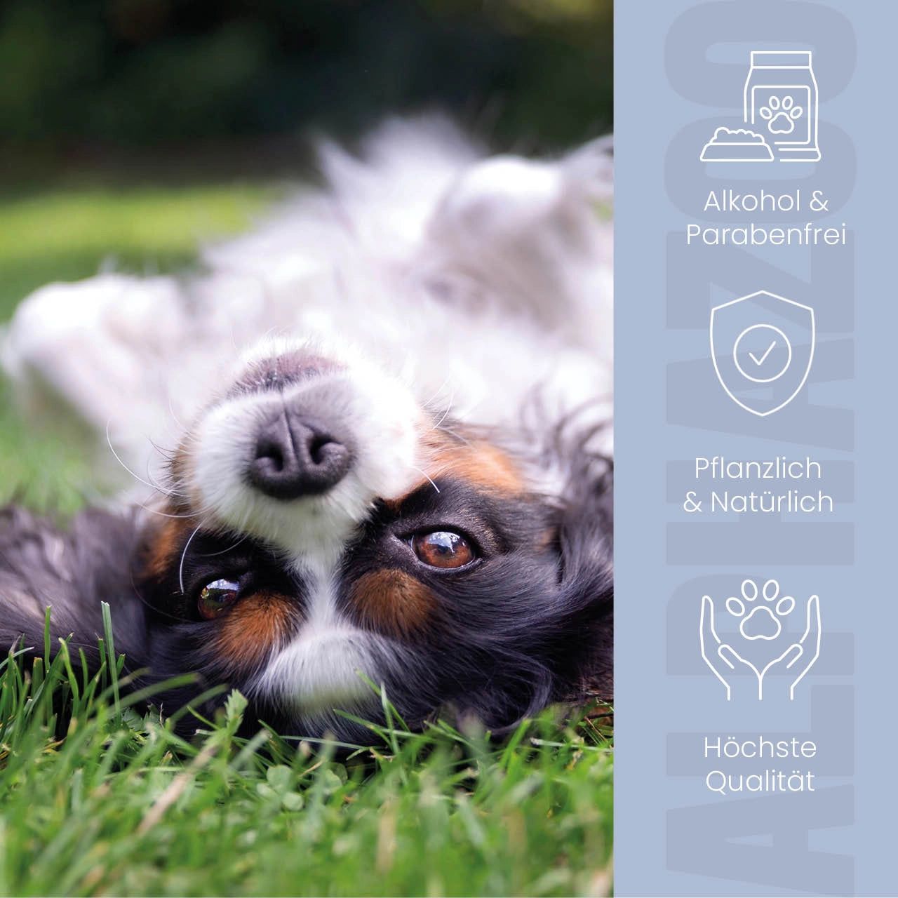 Hund liegt auf dem Rücken im Gras. Symbole: Alkohol- und parabenfrei, pflanzlich, höchste Qualität.