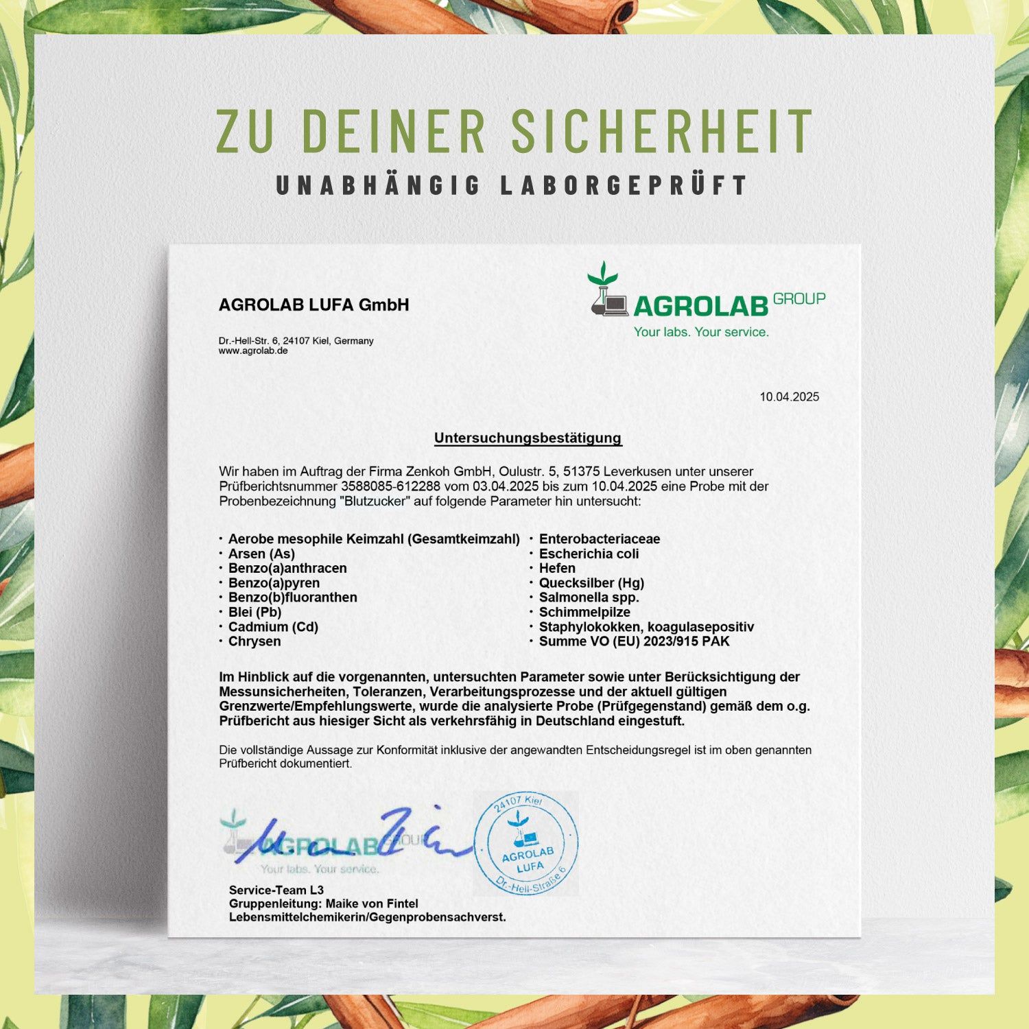 Blutzucker - Komplex mit Zimt, Inositol & Olivenblatt - NATURTREU®