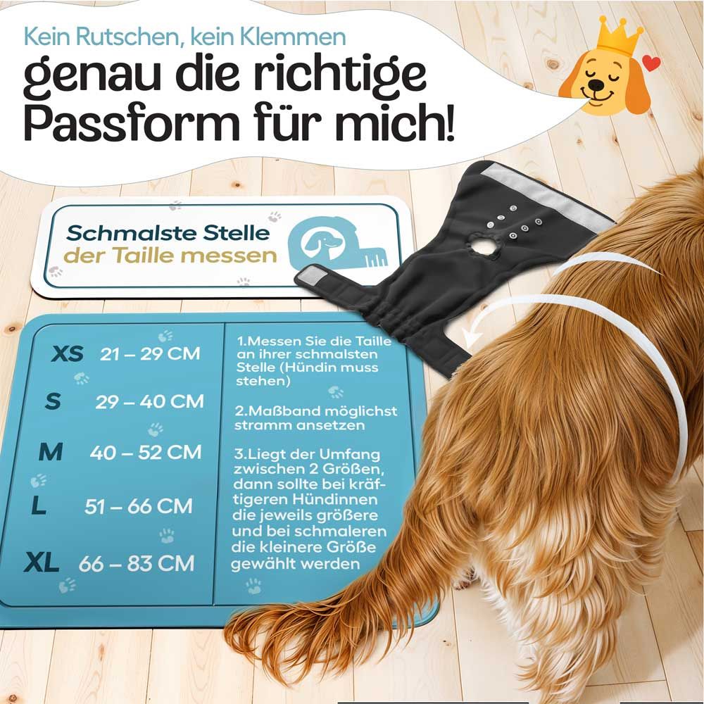 Größentabelle für Windeln. Maße in cm. XS bis XL. Illustration einer Hündin. Text.