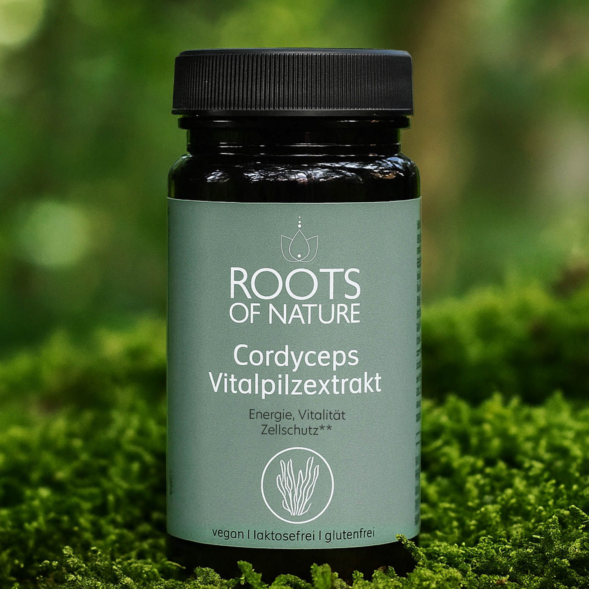 Braune Flasche mit schwarzem Deckel. Grünes Etikett mit Text: ROOTS OF NATURE, Cordyceps Vitalpilzextrakt. Vegan, laktosefrei, glutenfrei.
