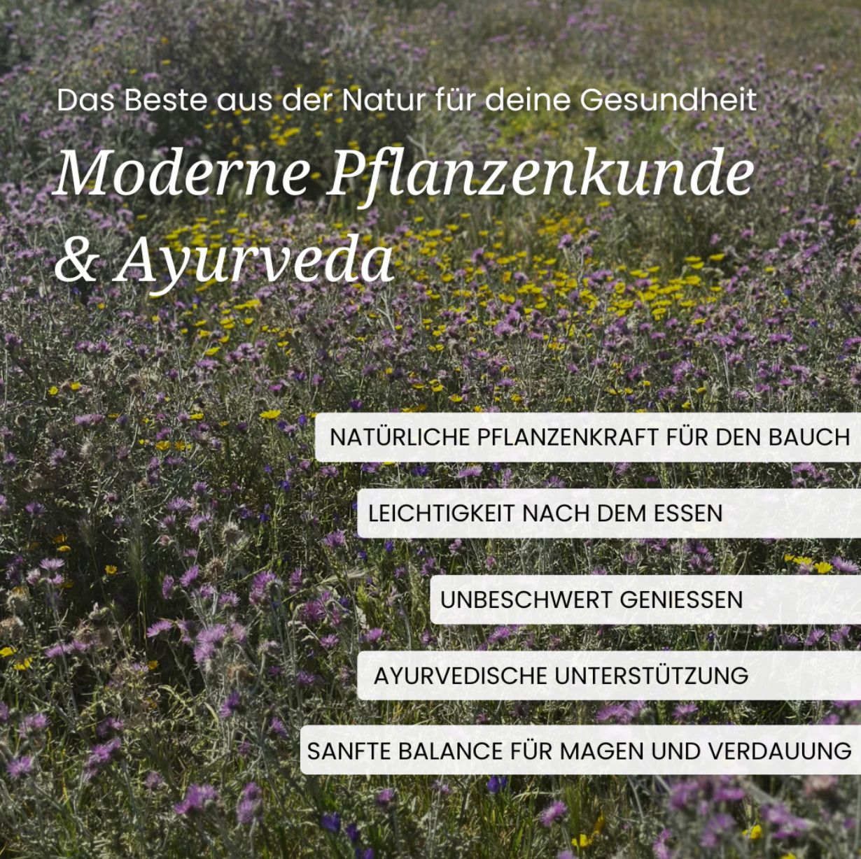Text auf grünem Feld: "Moderne Pflanzenkunde & Ayurveda". Weitere Textfelder: "Natürliche Pflanzenkraft", "Leichtigkeit nach dem Essen".