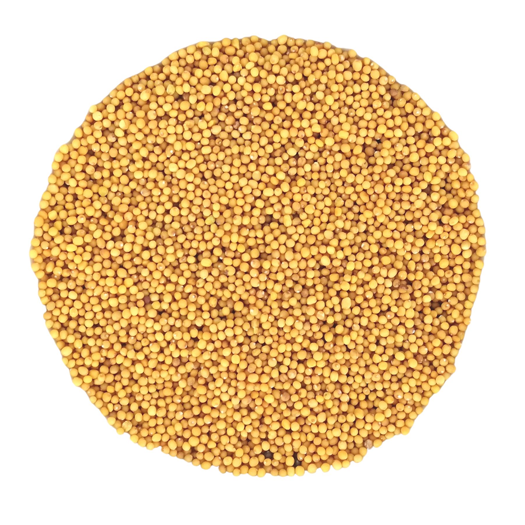 Haufen brauner Senfkörner, kreisförmig angeordnet. Einzelne Körner sichtbar.
