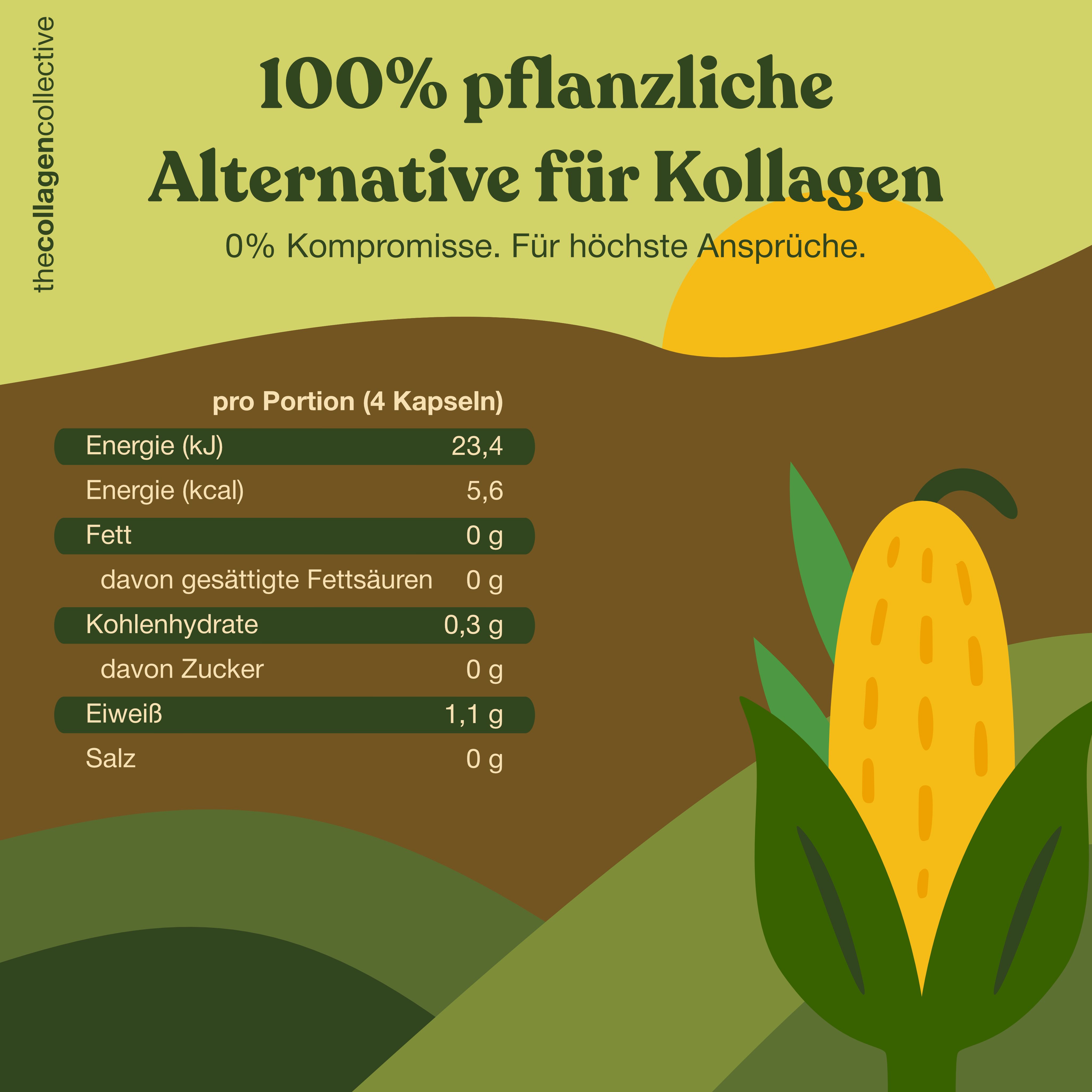 Infografik mit Nährwertangaben. Maiskolben-Illustration. Text in deutscher Sprache.