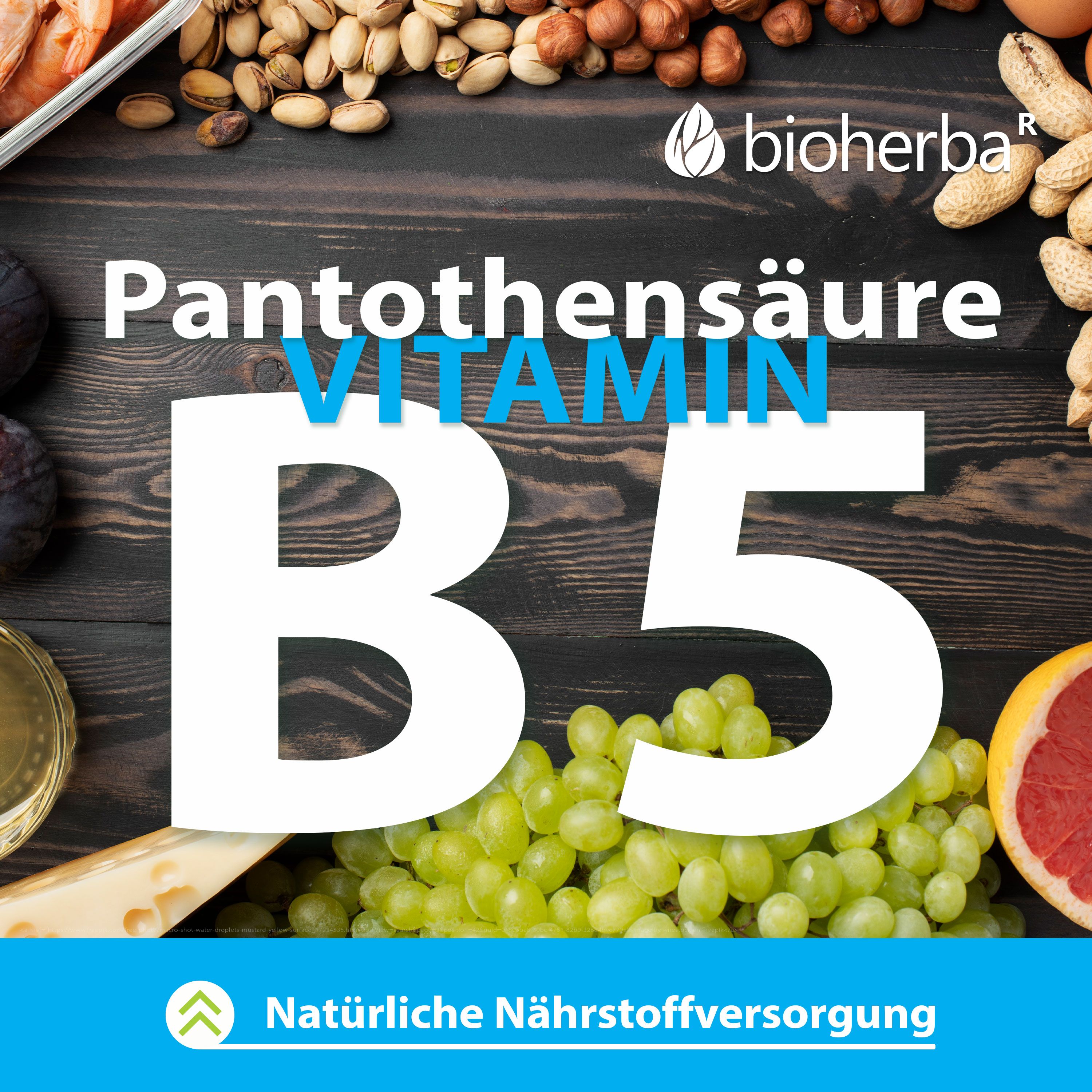 Verschiedene Lebensmittel, Vitamin B5. Text: Natürliche Nährstoffversorgung. Obst, Gemüse, Nüsse und Käse.