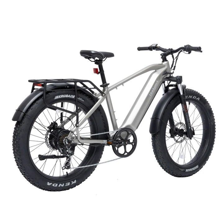 Graues E-Mountainbike mit schwarzen Reifen und Gepäckträger. Kenda-Reifen. Scheibenbremsen. Bodywel D6.