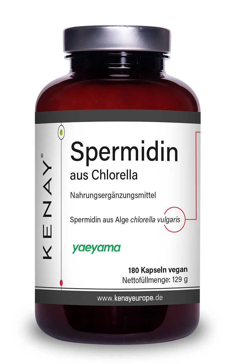 Braune Glasflasche mit weißem Etikett. Text: Spermidin aus Chlorella, Nahrungsergänzungsmittel, 180 Kapseln vegan, KENAY®.