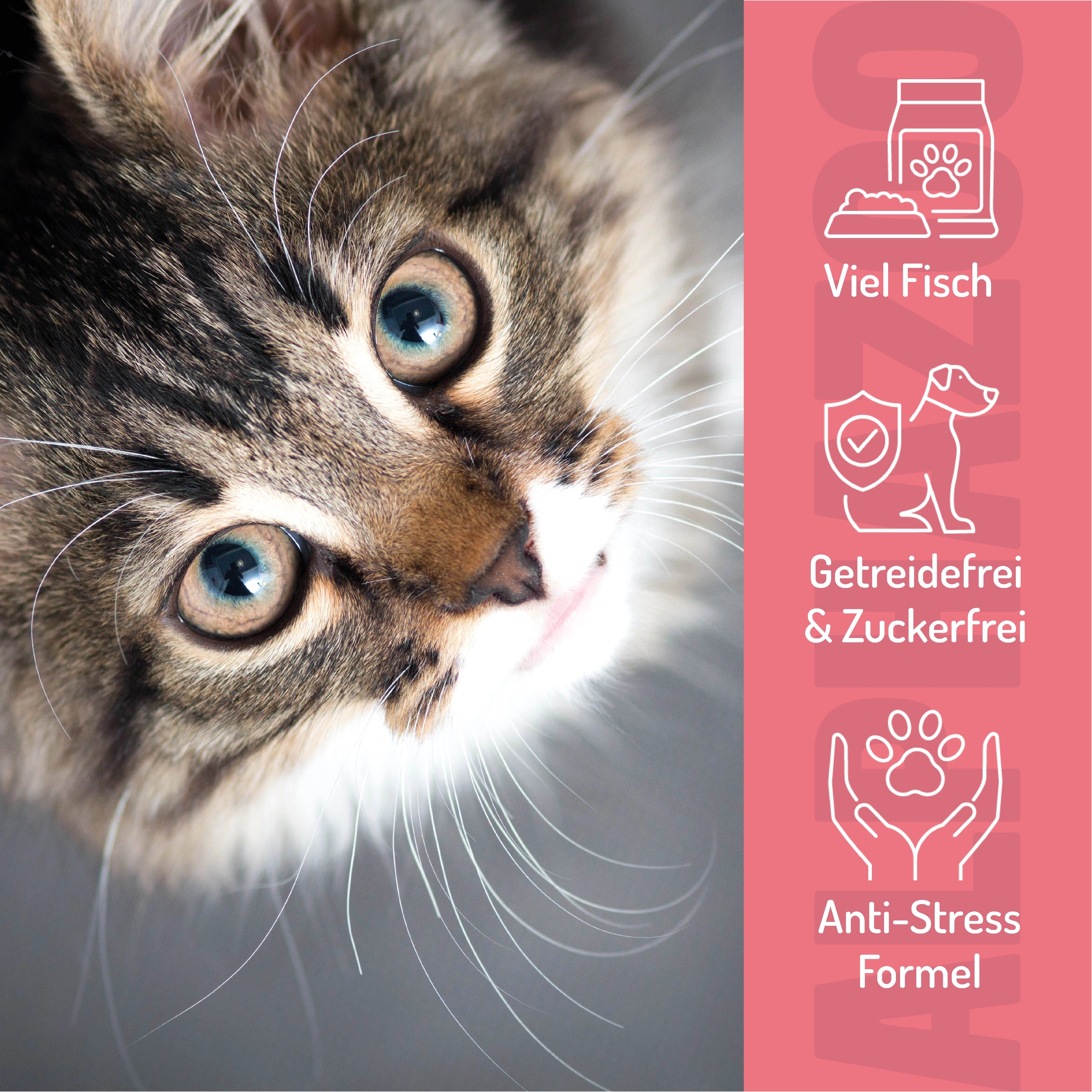 Katze blickt nach oben. Text: Viel Fisch, Getreidefrei & Zuckerfrei, Anti-Stress Formel. Produkt-Icons.