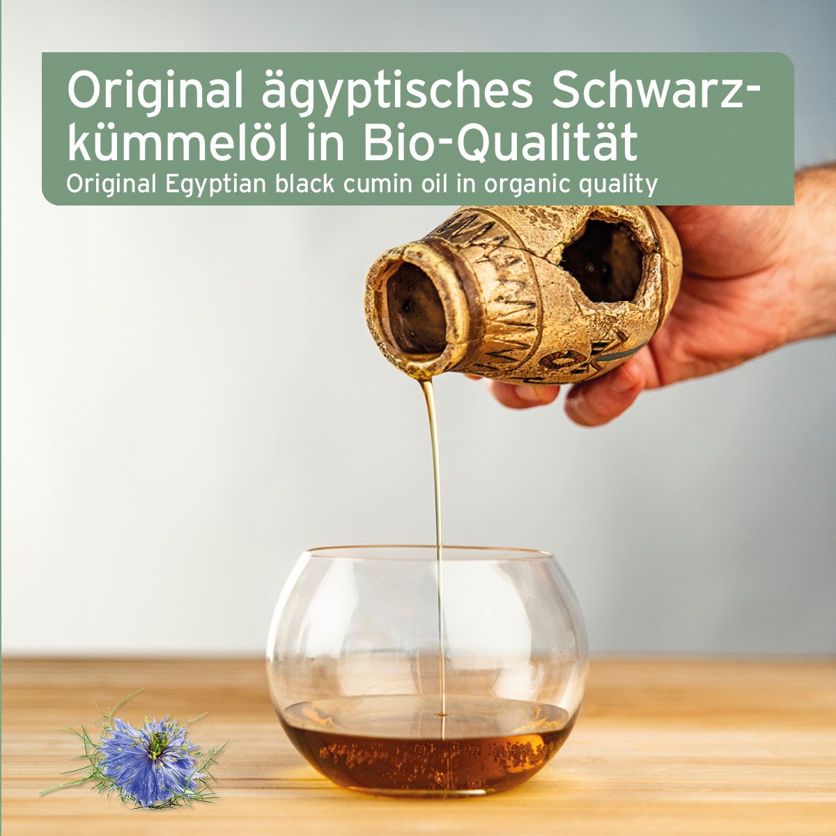 AniForte Bio Ägyptisches Schwarzkümmelöl