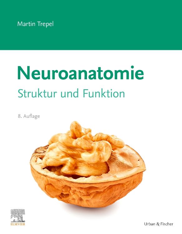 Buchcover mit dem Titel Neuroanatomie, Struktur und Funktion. Abbildung einer Walnuss. Autor: Martin Trepel. Verlag: Urban & Fischer.