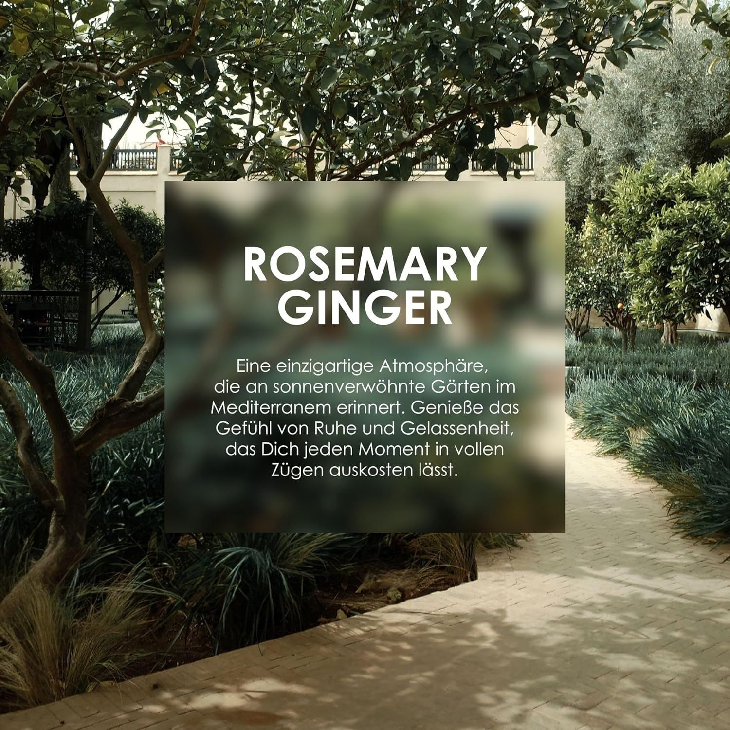 Text auf transparentem Hintergrund: Rosemary Ginger. Text beschreibt eine einzigartige Atmosphäre in einem mediterranen Garten.