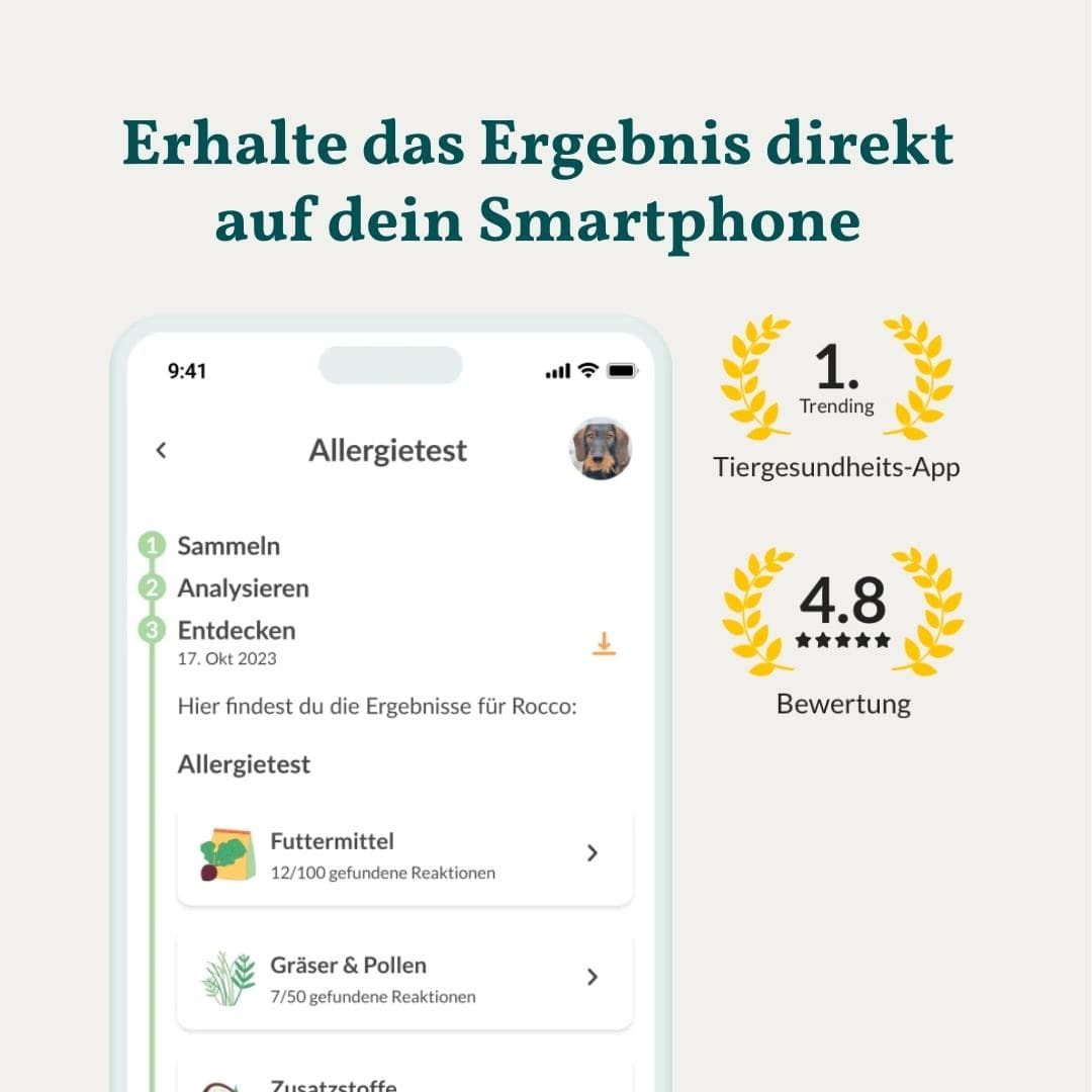 App-Ansicht mit Testergebnissen für 'Rocco': Futtermittel, Gräser & Pollen. Mit 4.8 Sternen bewertet.