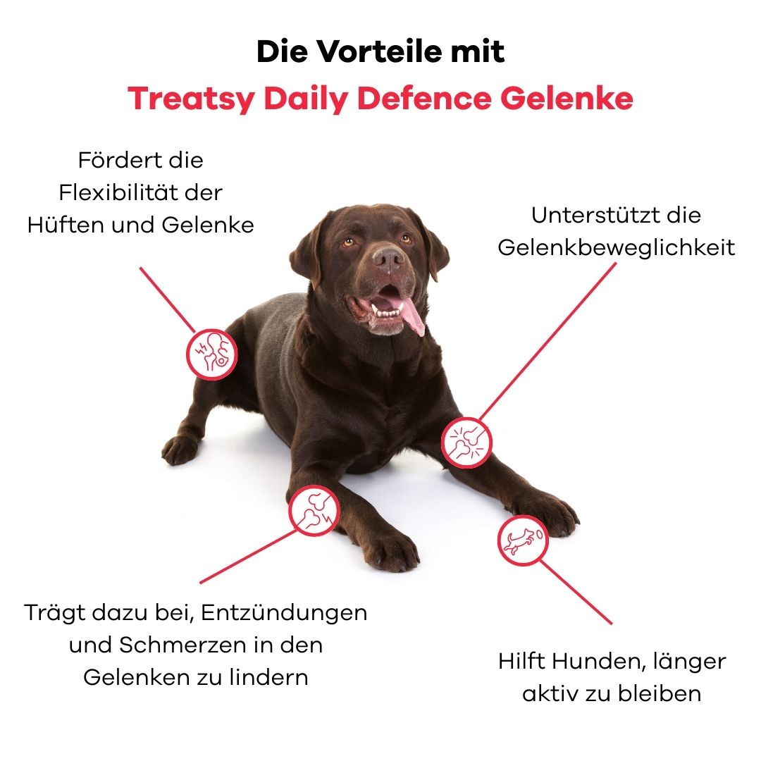 Brauner Hund liegt. Text: Vorteile mit Treatsy Daily Defence Gelenke. Grafiken zeigen Gelenke und Text.