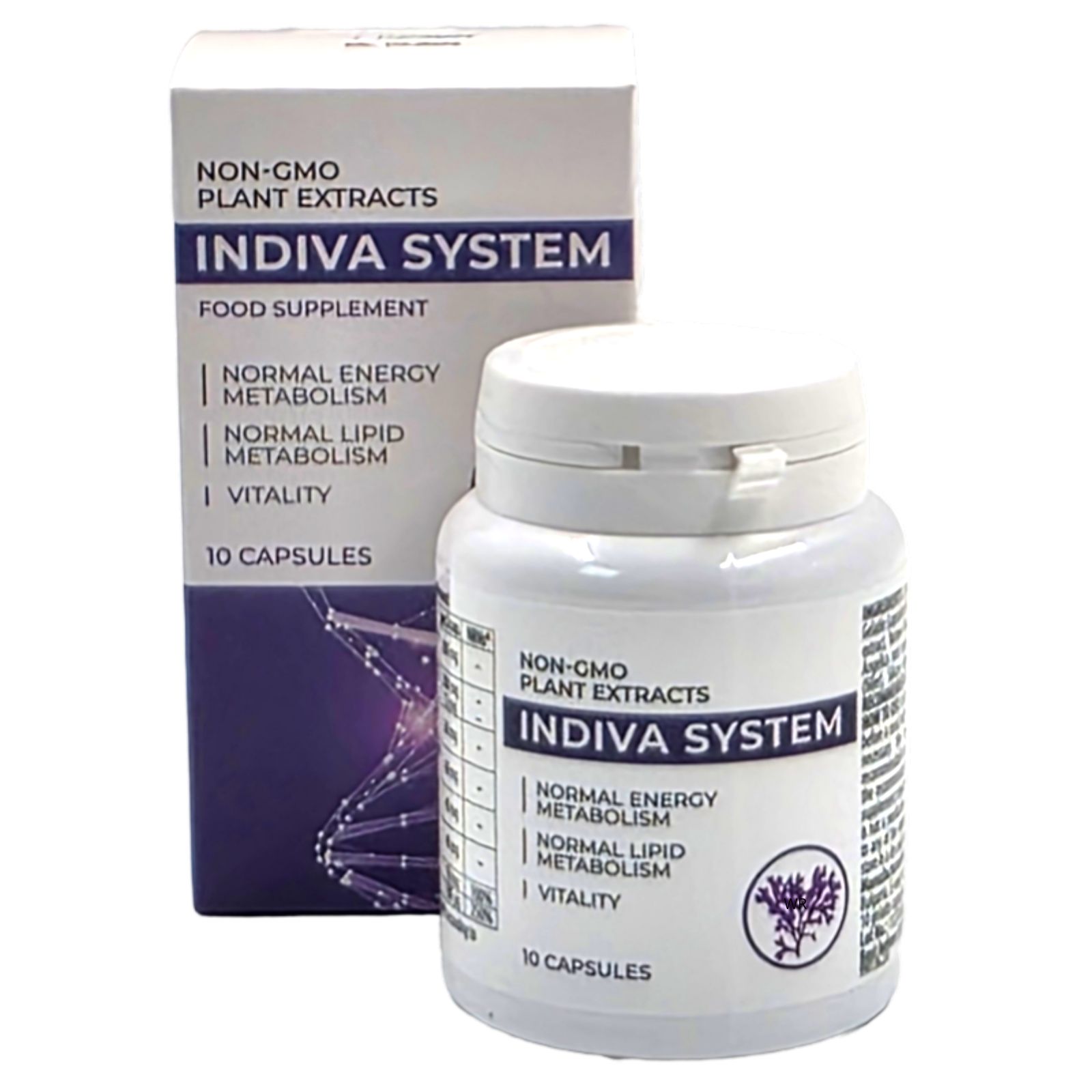 Weiße Flasche und Schachtel mit "INDIVA SYSTEM"-Nahrungsergänzungsmittel. Flasche mit weißem Deckel. Aufschrift: "Normaler Energiestoffwechsel", "Normaler Lipidstoffwechsel", "Vitalität".
