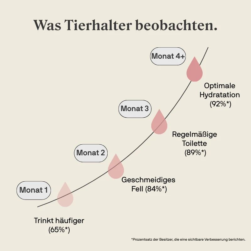 Grafik zeigt Verbesserungen bei Katzen über 4 Monate: Trinkverhalten, Fell, Toilette, Hydratation.