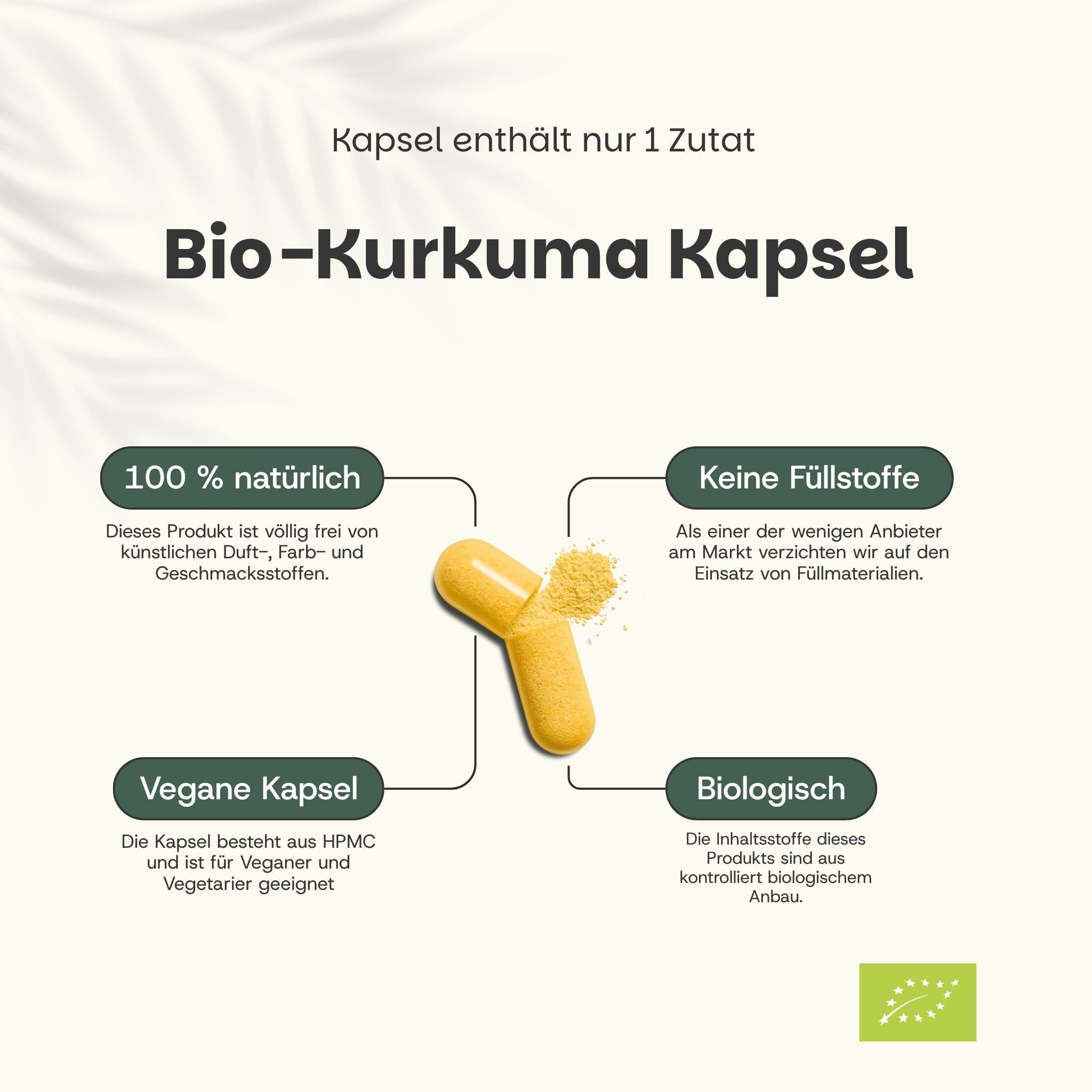 Beutel mit Kurkuma-Kapseln. Text: Turmeric Organic Supplements. 80 Kapseln. Bio-Siegel. Vorteile.