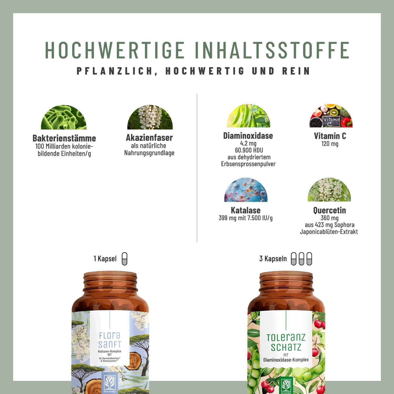Infografik mit Inhaltsstoffen. Zwei Pillendosen FLORASANFT und TOLERANZSCHATZ. Kapseln und Inhaltsstoffe.