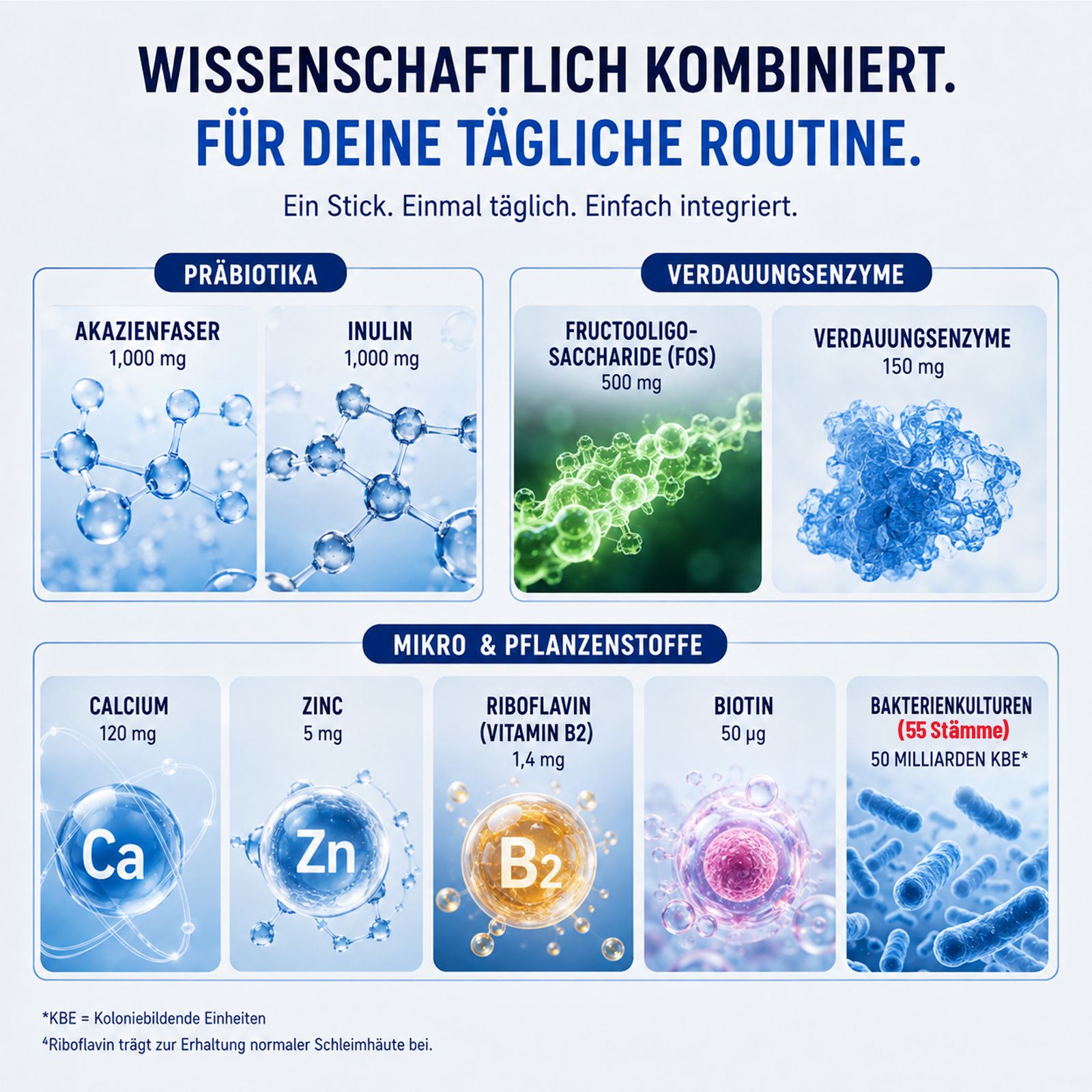 Wissenschaftlich kombiniert: Akazienfaser, Inulin, FOS, Verdauungsenzyme, Calcium, Zink, Riboflavin, Biotin.