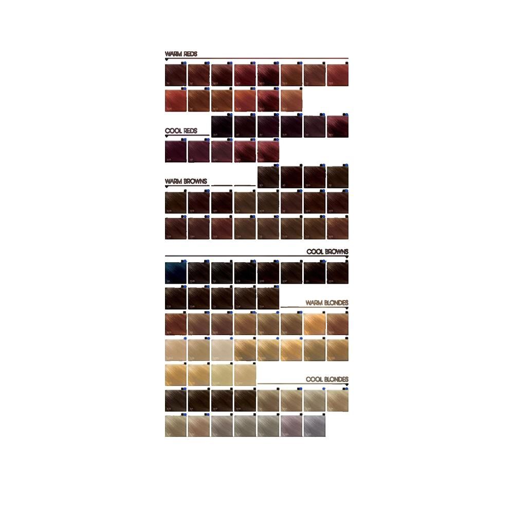 Farbkarte mit verschiedenen Haarfarben. Verschiedene Farbtöne sind in Reihen angeordnet, beschriftet mit Bezeichnungen wie "Warm Reds" und "Cool Blondes".