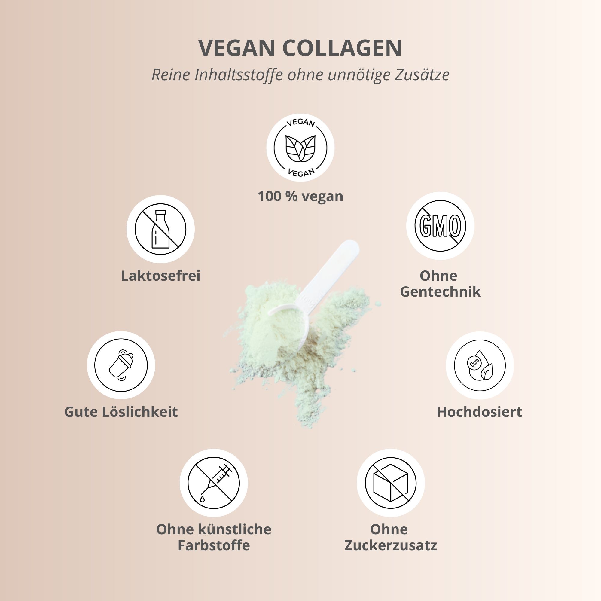 Grafik: 100% vegan, ohne Laktose, ohne Gentechnik, ohne Zuckerzusatz, ohne künstliche Farbstoffe. Pulver.