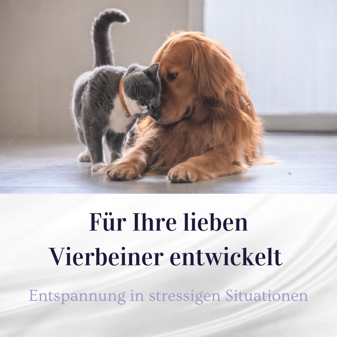 Hund und Katze kuscheln. Text: Für Ihre lieben Vierbeiner entwickelt.