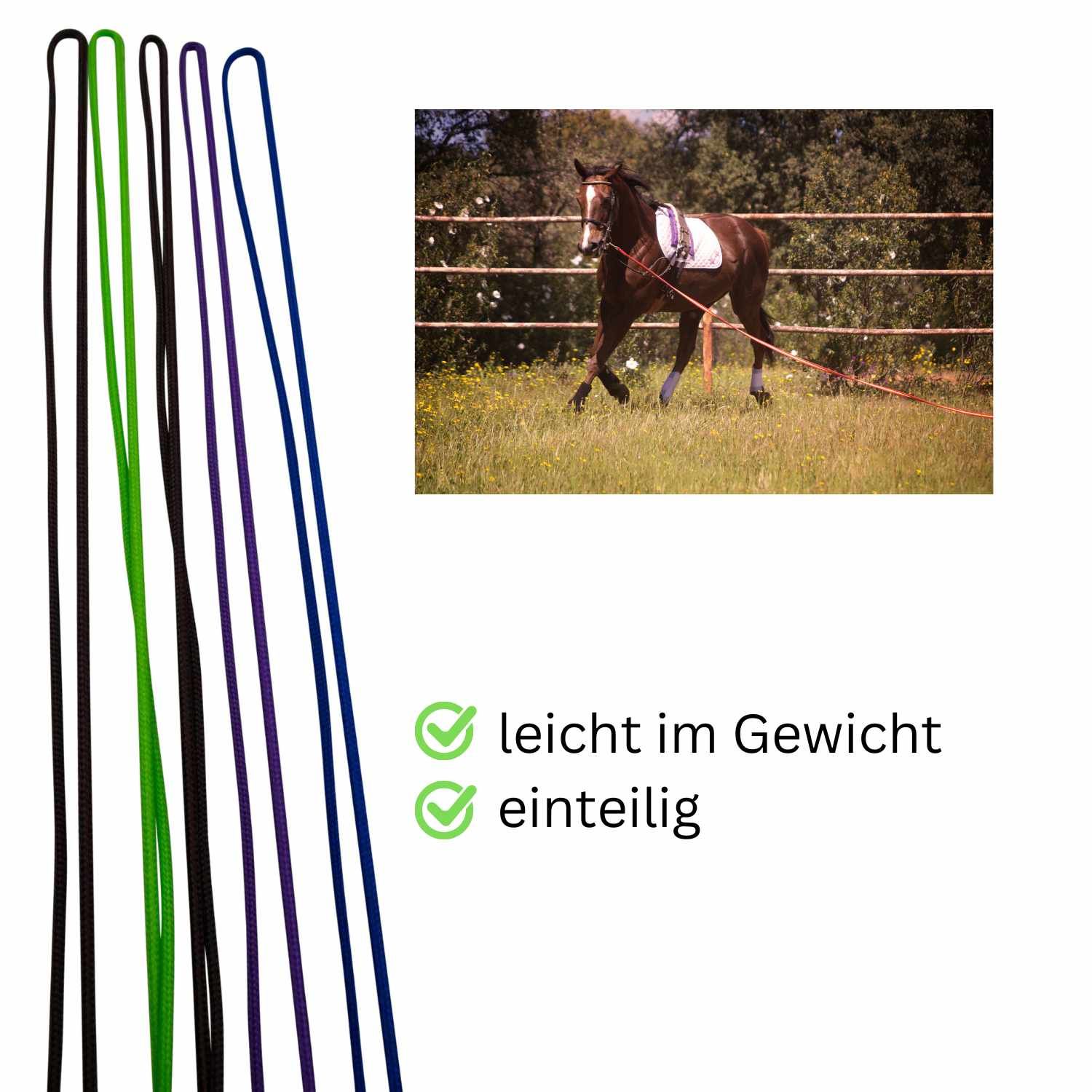 Mehrfarbige Longierpeitschen. Grün, schwarz, violett, blau. Im Hintergrund ein Pferd auf einer Wiese.