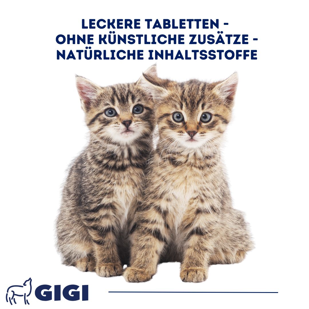 Zwei Kätzchen. Text: Leckere Tabletten - ohne künstliche Zusätze - natürliche Inhaltsstoffe. GIGI Logo.