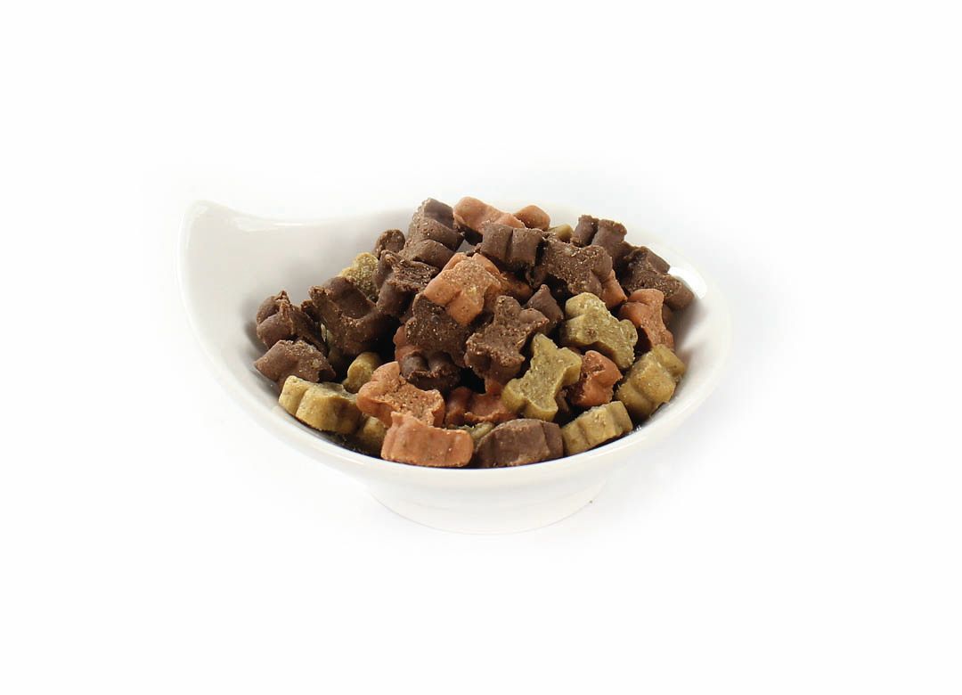 Hundefutter-Snacks in einer weißen Schale. Mehrfarbige, knochenförmige Snacks.