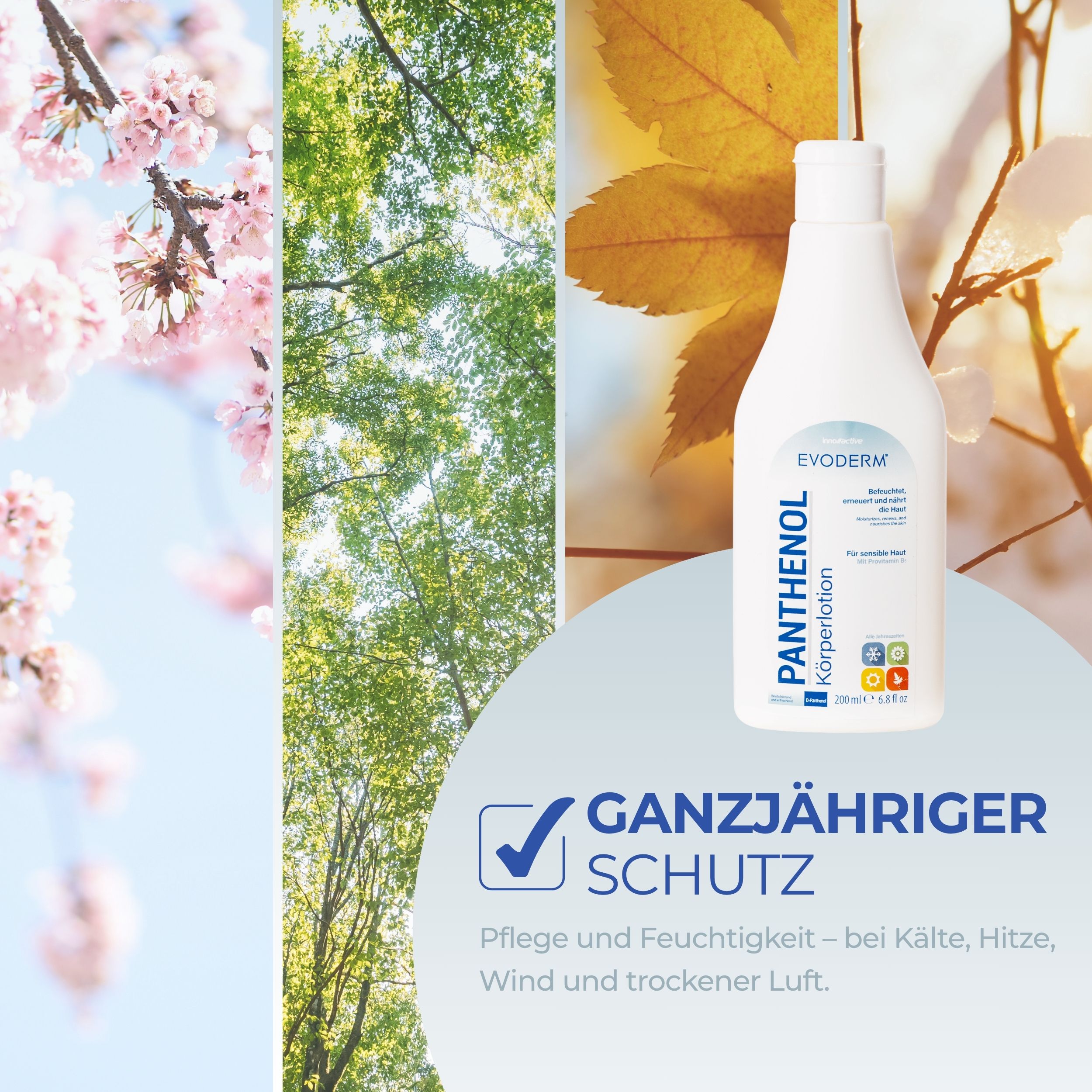 EVODERM Panthenol Körperlotion. Flasche vor Naturkulisse. Text: Ganzjähriger Schutz. Pflege und Feuchtigkeit.