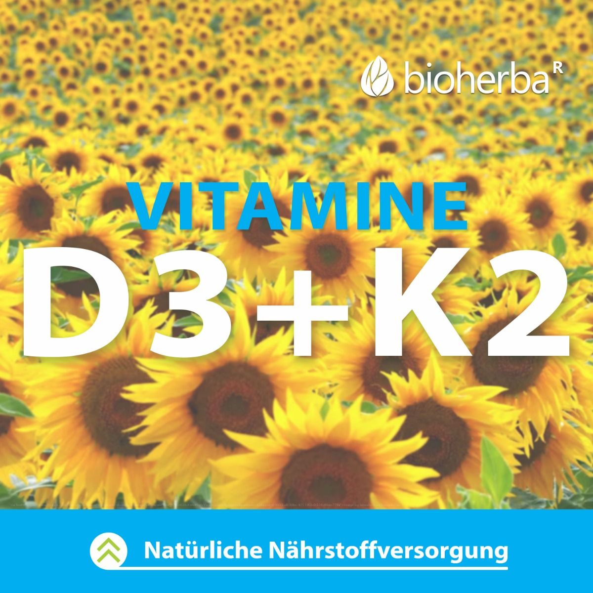 Text: Vitamine D3 + K2, vor Sonnenblumen. Logo: Bioherba. Text: Natürliche Nährstoffversorgung.