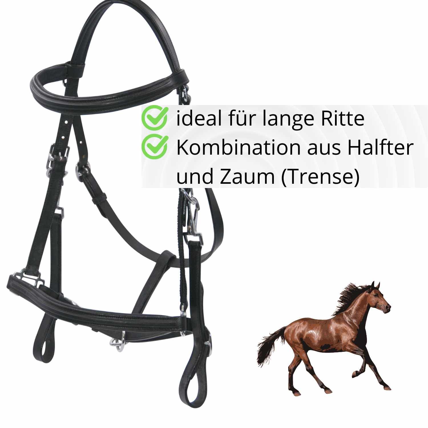 Schwarzes Zaumzeug mit Lederriemen und Metallbeschlägen. Text: Kombination aus Halfter und Zaum. Ideal für lange Ritte.