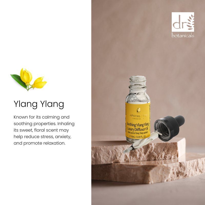 Ölflasche mit Pipette, gelbes Etikett. Aufschrift: "Soothing Ylang Ylang Luxury Diffuser Oil". Text: "Ylang Ylang". Hintergrund: Steine und Blumen.