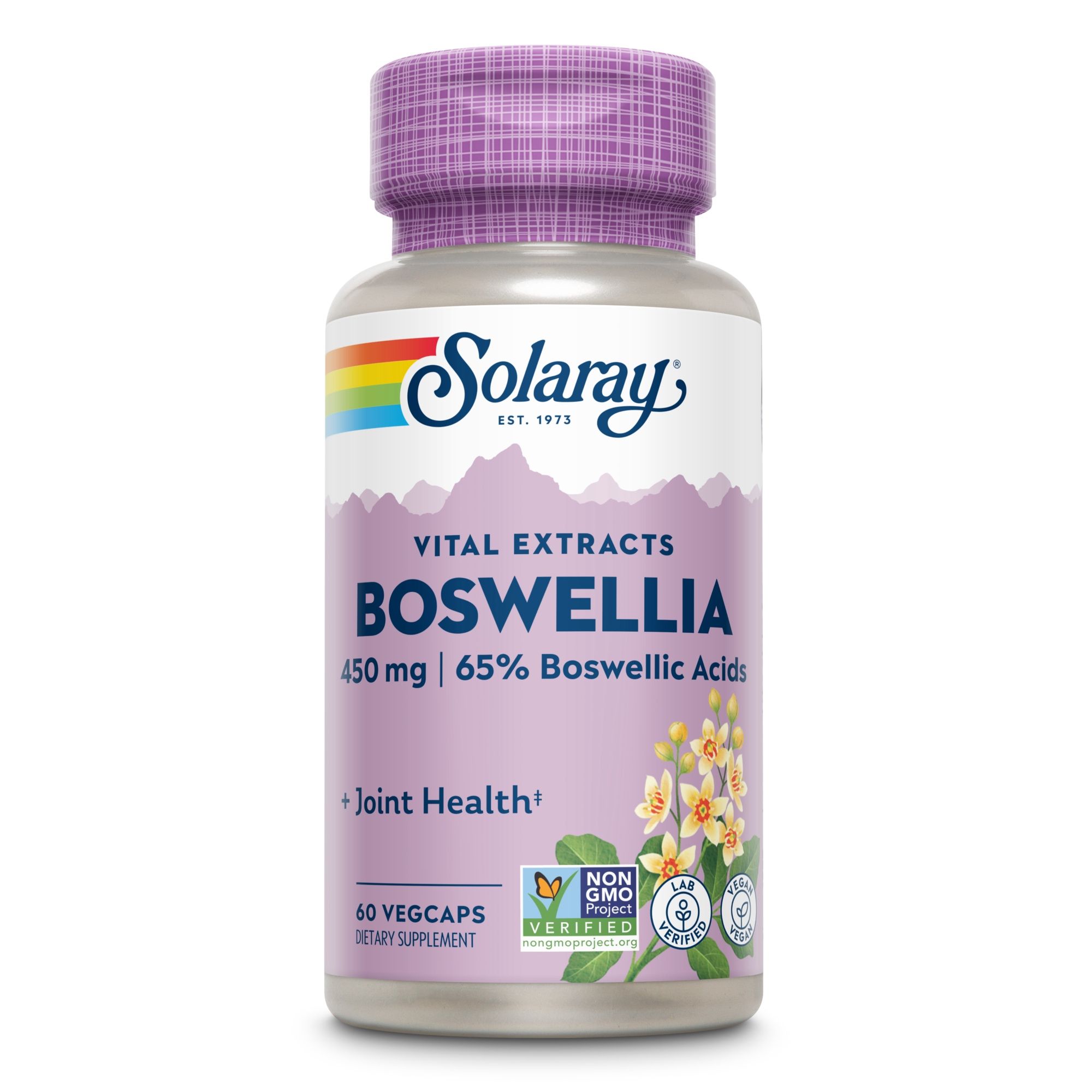 Solaray Boswellia Extrakt Flasche. Aufschrift: 450 mg, 65% Boswelliasäuren. 60 Vegcaps. Non-GMO verifiziert.