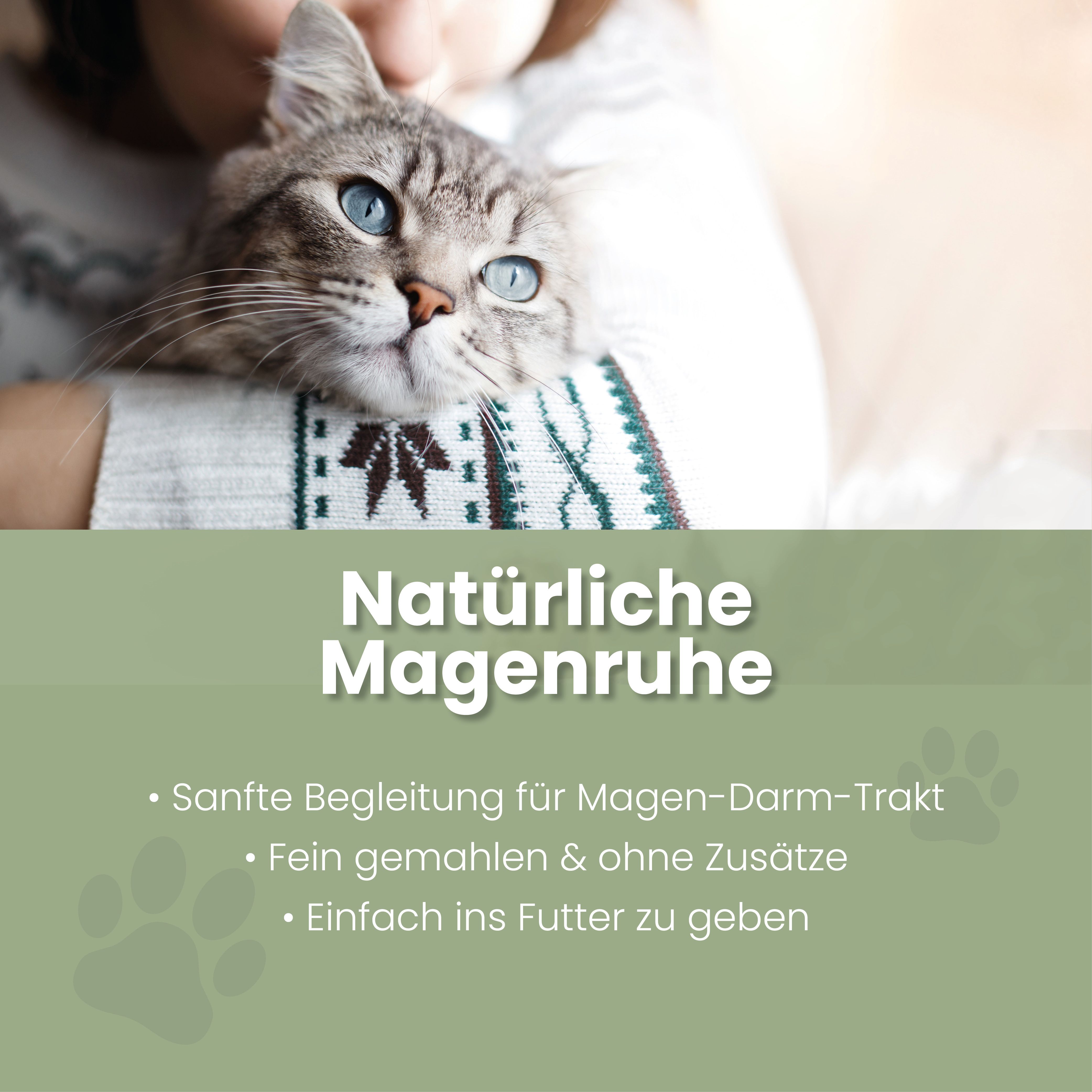 Frau hält eine Katze. Text: Natürliche Magenruhe, Sanfte Begleitung für Magen-Darm-Trakt.