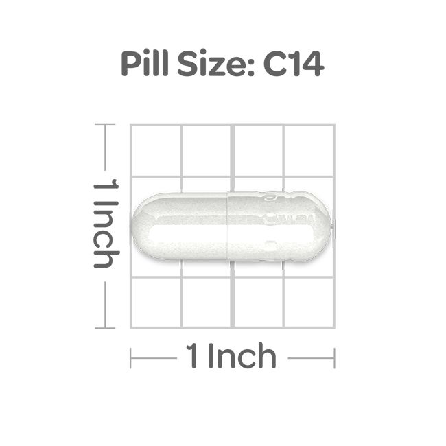 Puritan's Pride Flohsamenschalen 750 mg