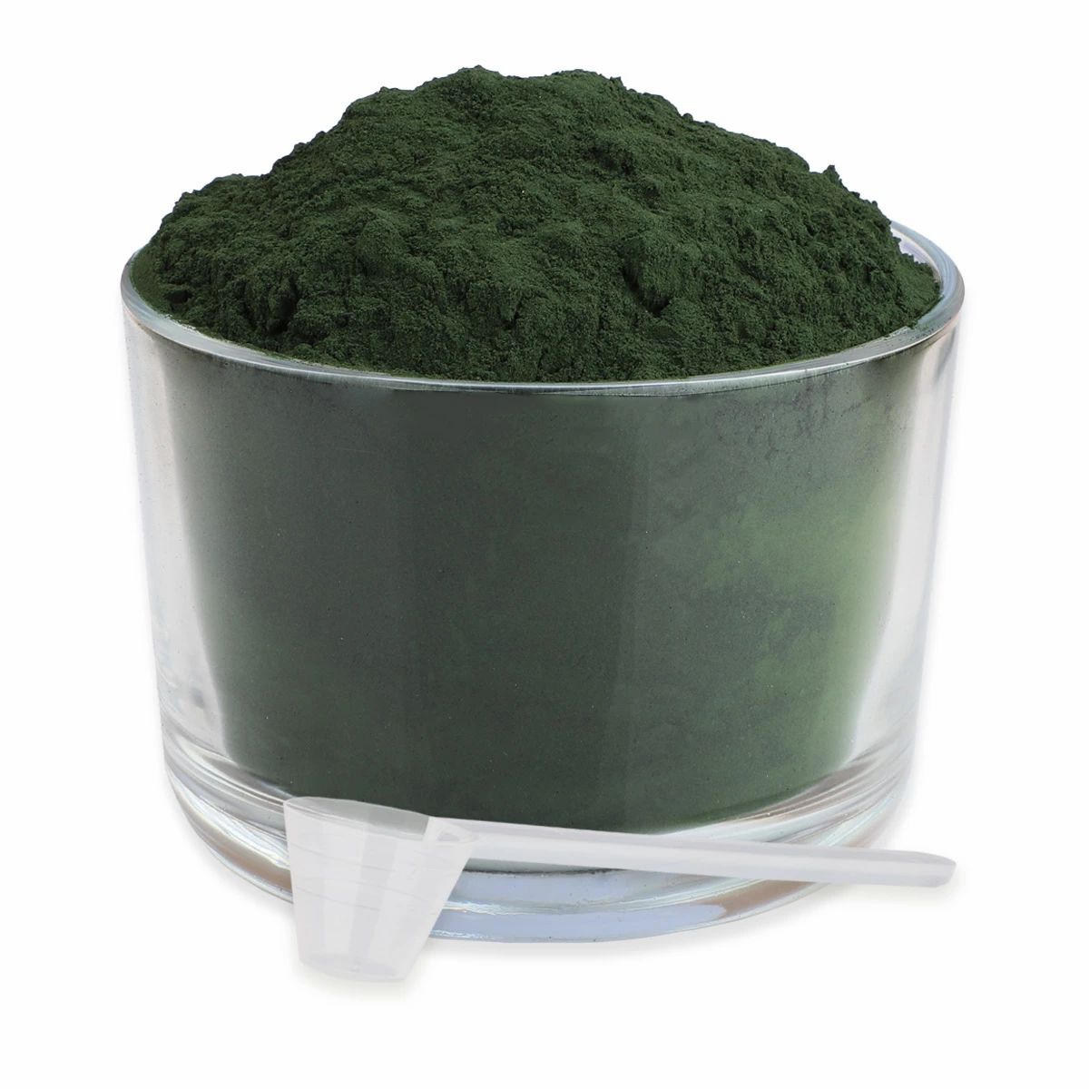 Bio Spirulina Pulver - ReaVET