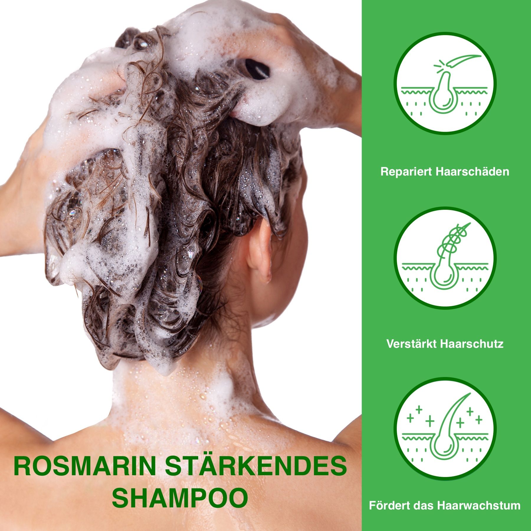 ALIVER Haarshampoo mit Rosmarinöl für Haarpflege