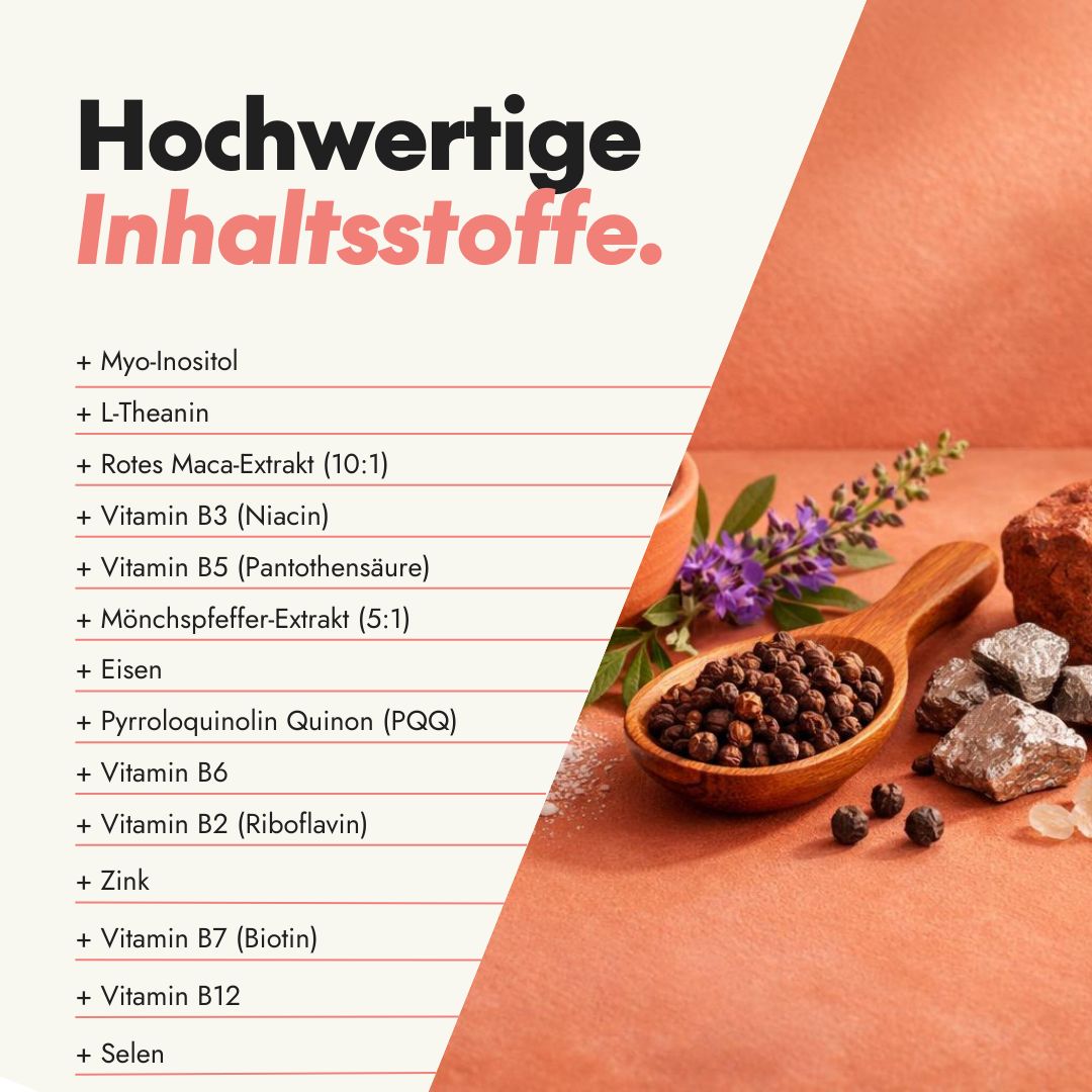 Liste hochwertiger Inhaltsstoffe mit Myo-Inositol, Maca, Mönchspfeffer und Vitaminen.