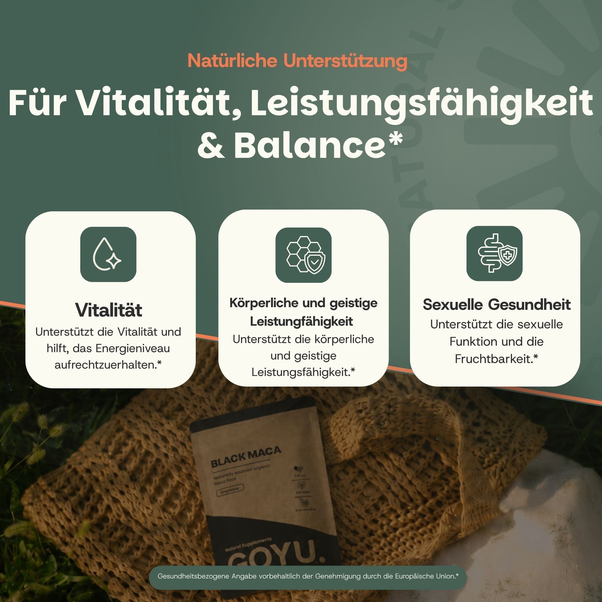Drei Icons mit Text: Vitalität, Körperliche und geistige Leistungsfähigkeit, Sexuelle Gesundheit. Darunter eine Packung Black Maca Kapseln.