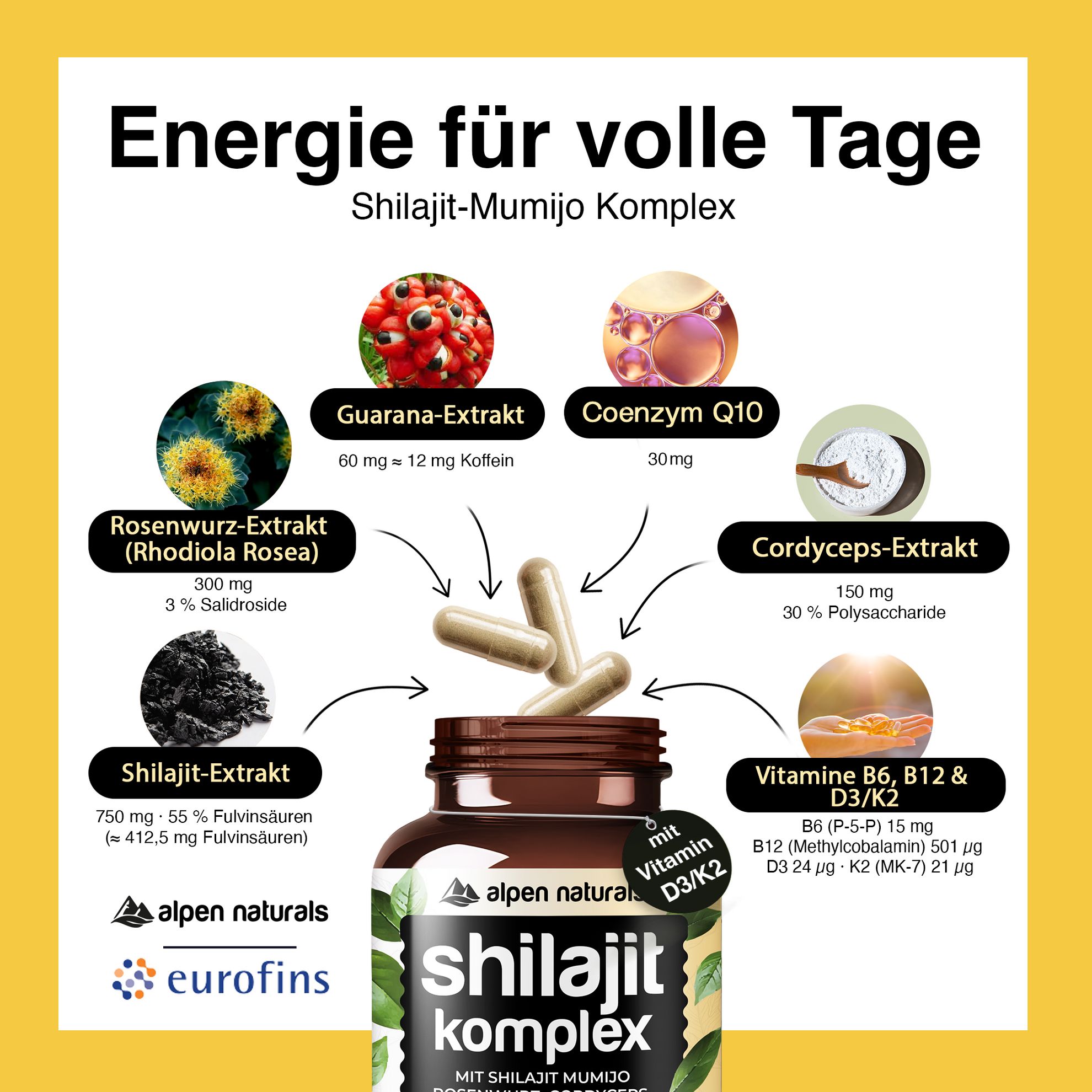 Alpen Naturals Shilajit Mumijo Komplex