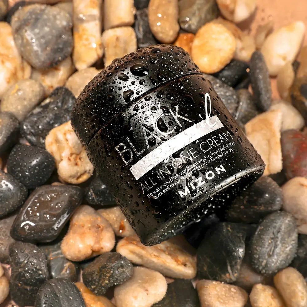 Schwarzer Tiegel mit Wasser. Aufschrift: BLACK snail ALL IN ONE CREAM. Auf Steinen platziert.